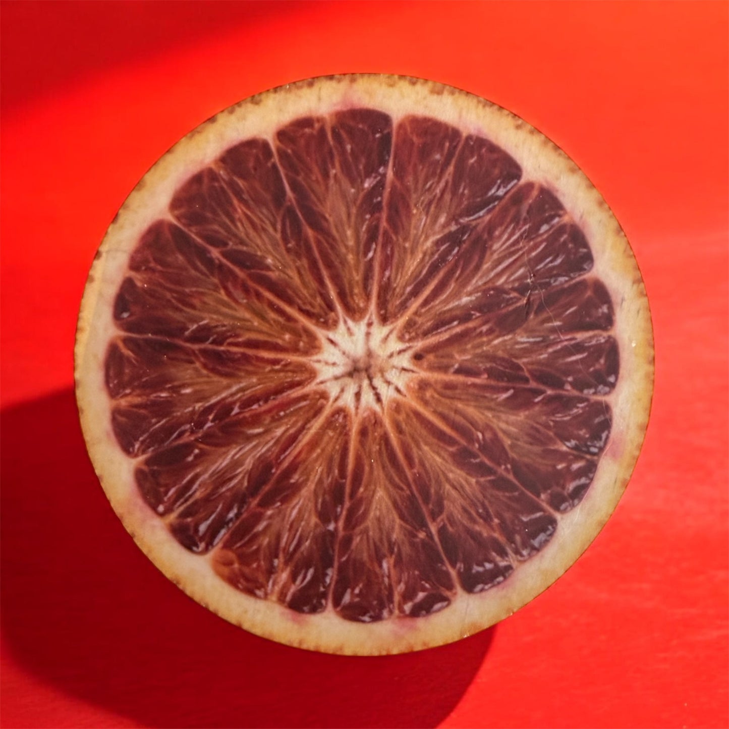 Blood orange 8oz Single Wick Soy Candle